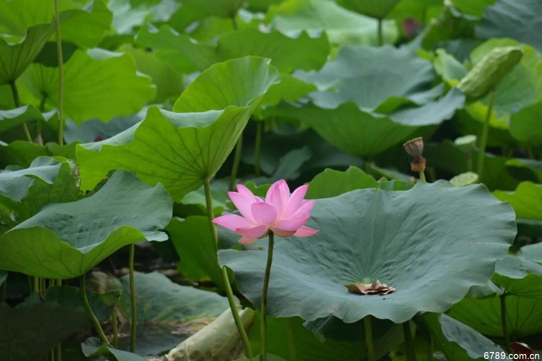 山東力明科技職業(yè)學(xué)院