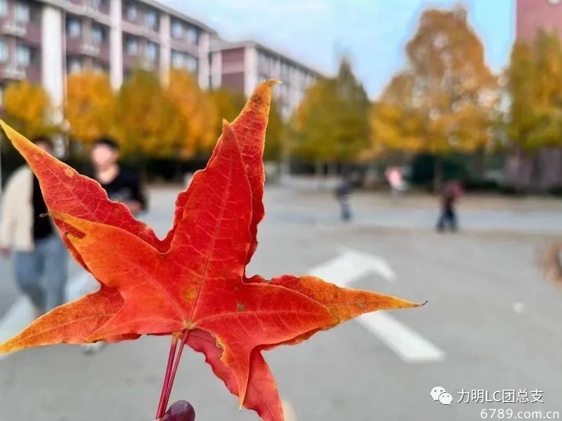 山東力明科技職業(yè)學(xué)院